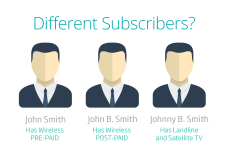 why you need to create a single view of telecom subscribers. Are these multiple customers or just one graphic.